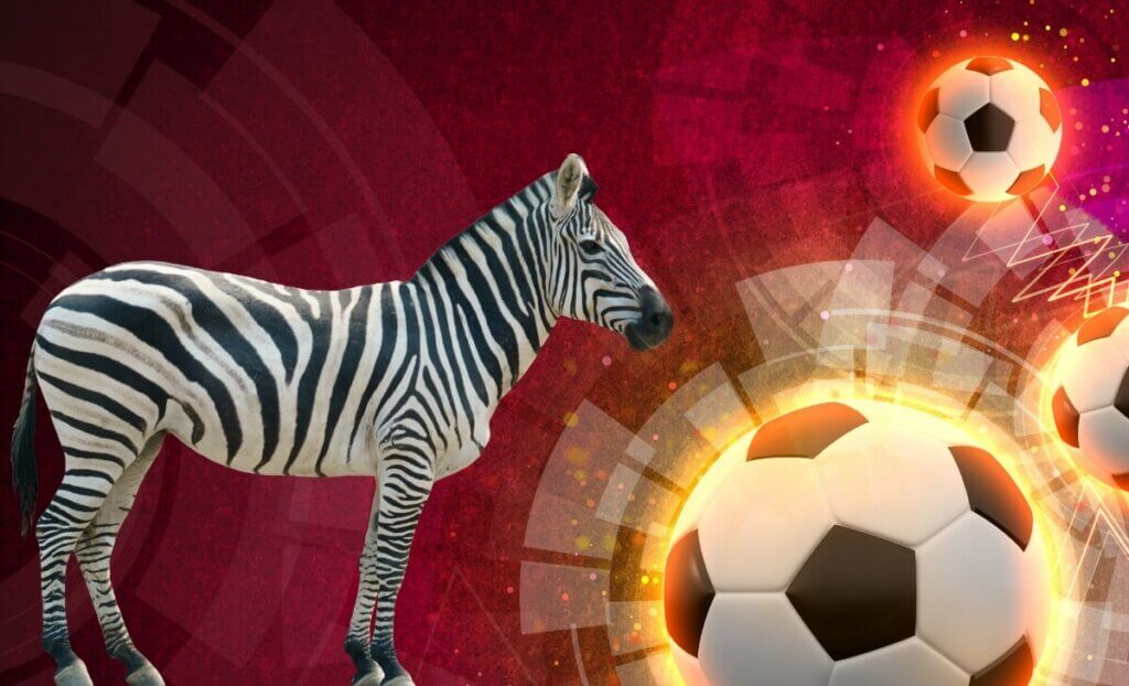 Zebra da Loteca
